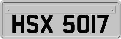 HSX5017