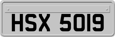 HSX5019
