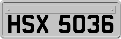 HSX5036