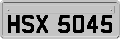 HSX5045