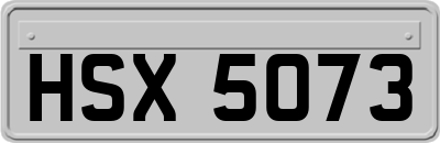 HSX5073