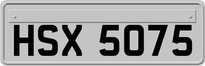 HSX5075