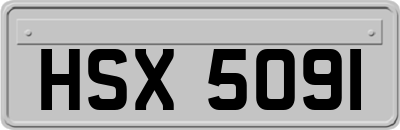 HSX5091