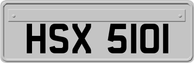 HSX5101