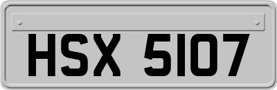 HSX5107