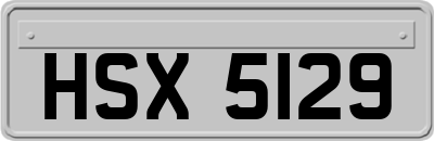 HSX5129