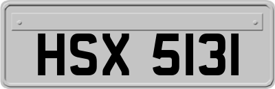 HSX5131