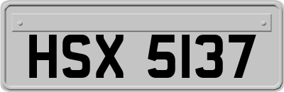 HSX5137