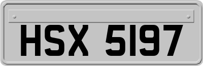 HSX5197