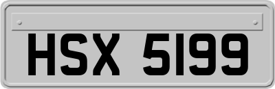 HSX5199