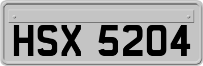 HSX5204