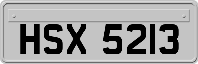 HSX5213