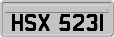 HSX5231