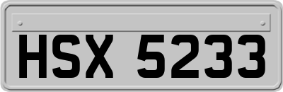 HSX5233