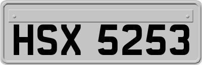 HSX5253