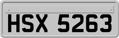 HSX5263