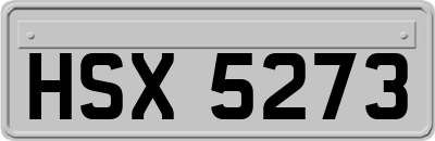 HSX5273