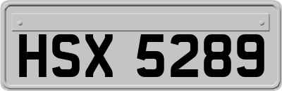 HSX5289