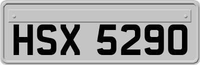 HSX5290
