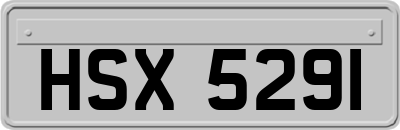 HSX5291