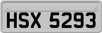 HSX5293