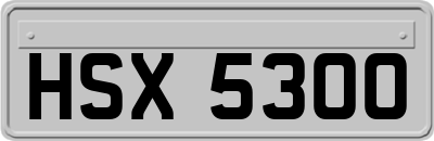 HSX5300