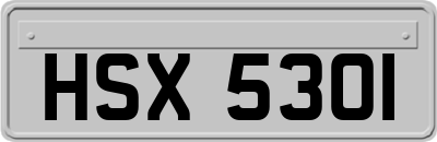 HSX5301