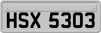 HSX5303