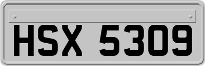 HSX5309