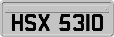 HSX5310