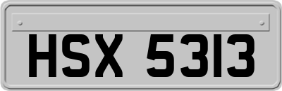 HSX5313