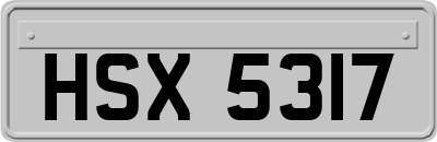 HSX5317