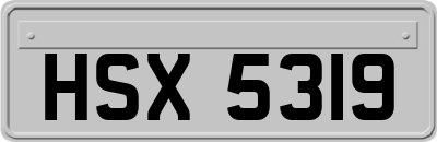 HSX5319