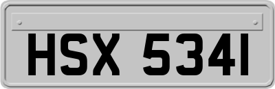 HSX5341
