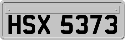 HSX5373