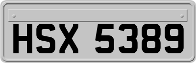 HSX5389
