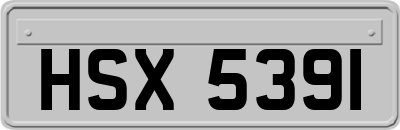 HSX5391
