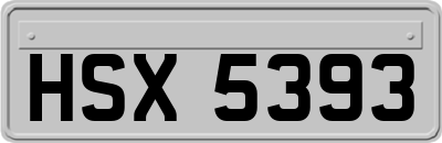 HSX5393