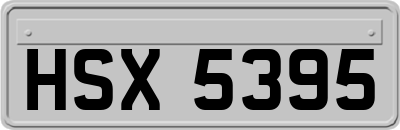 HSX5395