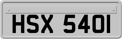 HSX5401
