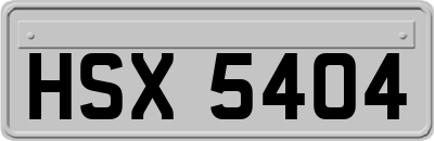 HSX5404