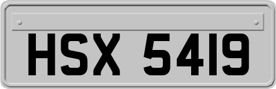 HSX5419