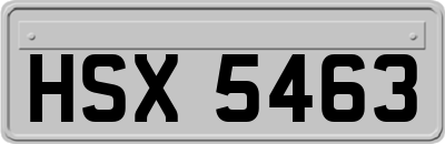HSX5463