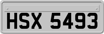 HSX5493