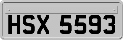 HSX5593