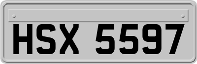 HSX5597