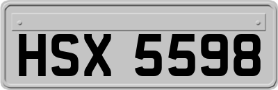 HSX5598