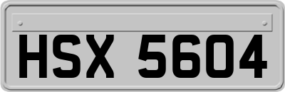 HSX5604