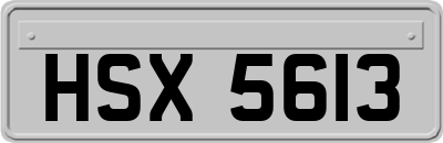 HSX5613