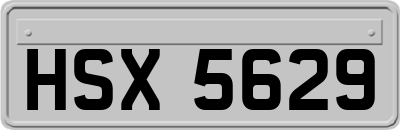 HSX5629